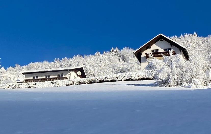 Nocky Mountains Lodge And Apartment رادينثين المظهر الخارجي الصورة