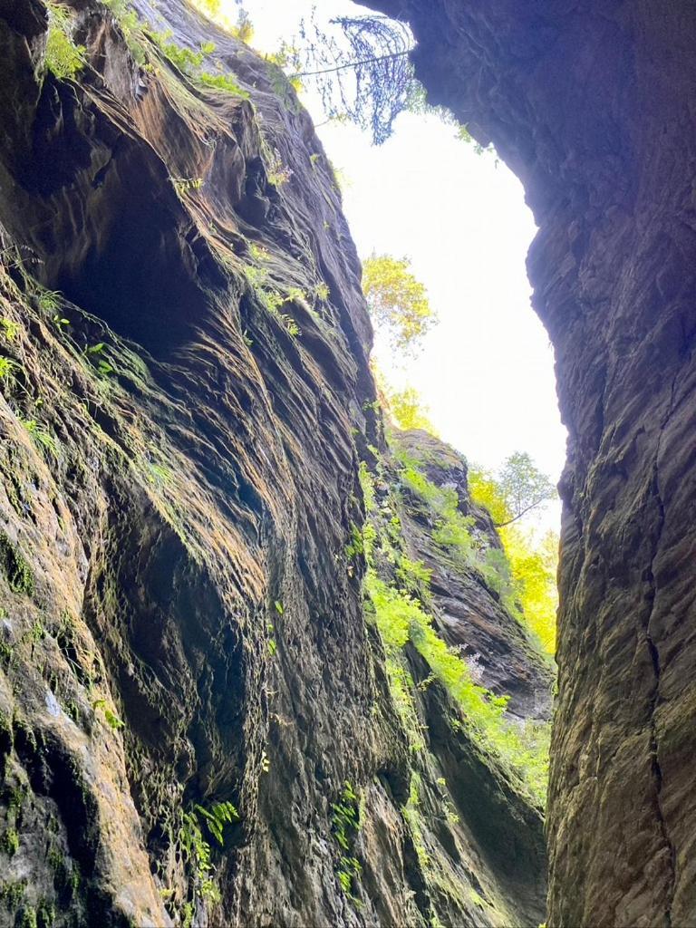 Nocky Mountains Lodge And Apartment رادينثين المظهر الخارجي الصورة